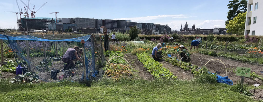 voedseltuin ijplein