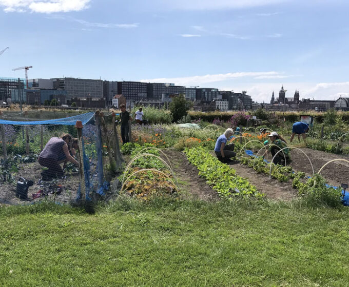 voedseltuin ijplein