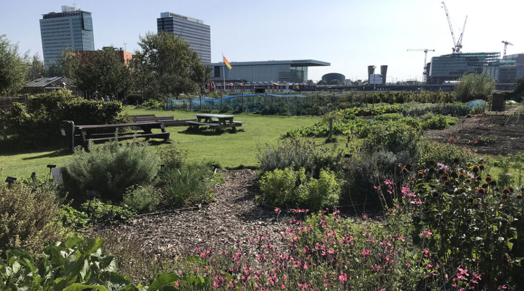 ijplein2