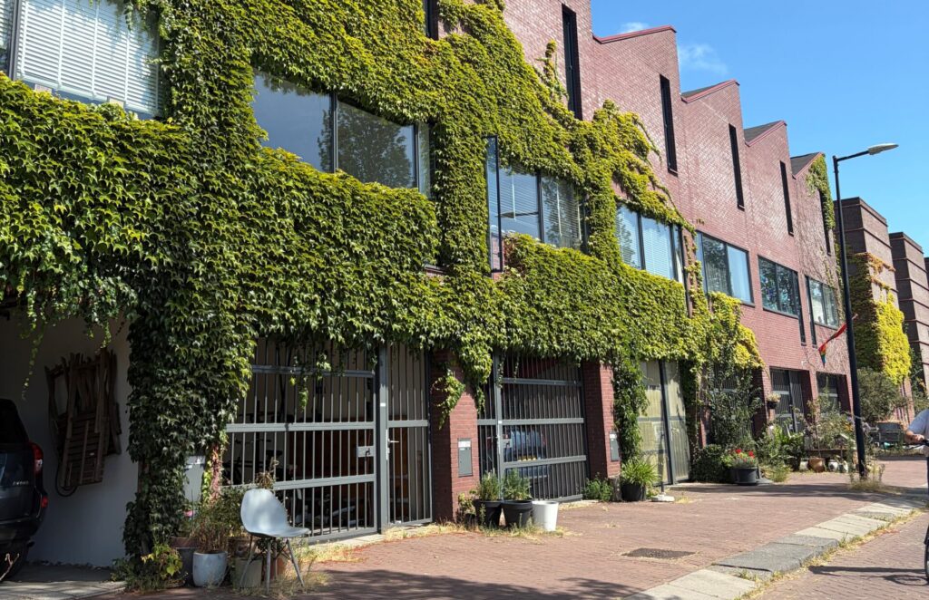 hitte in amsterdam groene gevel