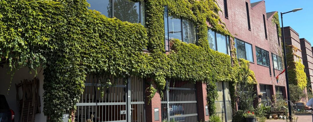 hitte in amsterdam groene gevel