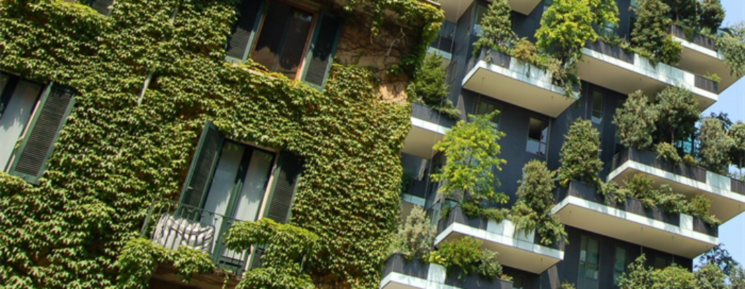 Netwerkbijeenkomst: Bouwen aan een klimaatbestendige leefomgeving